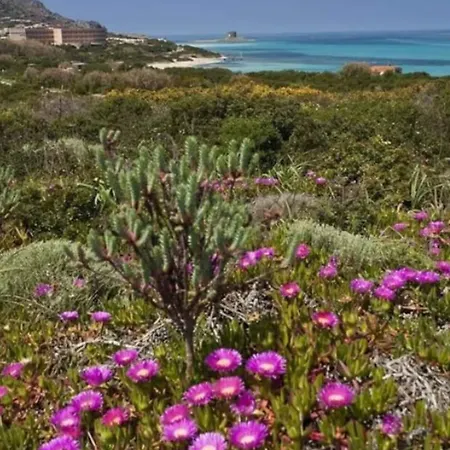 Cala Reale Stintino